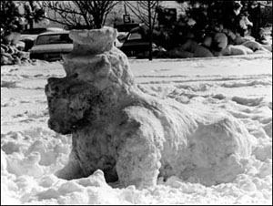 1982 snow mascot